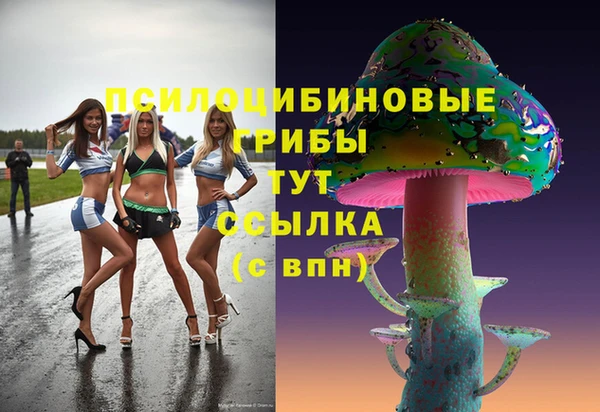 СК Алексеевка