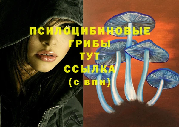 молекула духа Абдулино