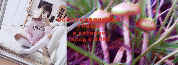 СК Алексеевка