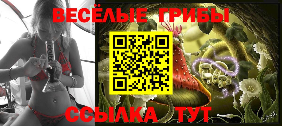 Грязи  Псилоцибиновые грибы мицелий  Вход с VPN 